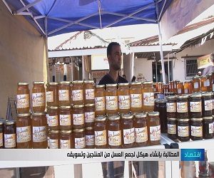 المطالبة بإنشاء هيكل لجمع العسل من المنتجين وتسويقه