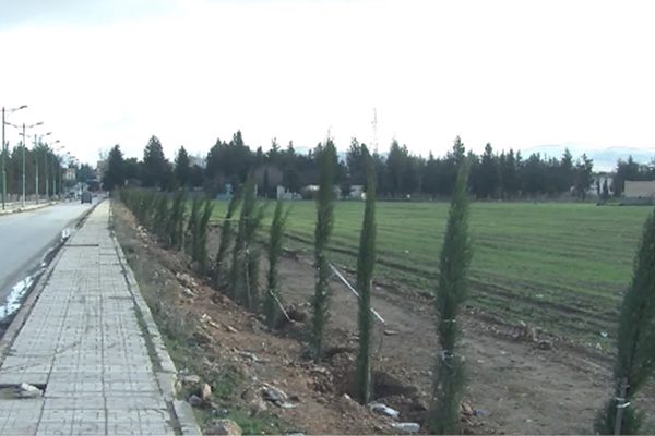 تبسة : حملة تشجير لغرس6 ألاف شجرة بمداخل المدينة