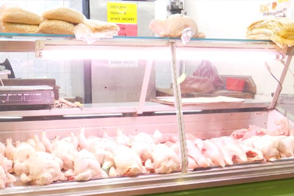 انخفاض في أسعار اللحوم البيضاء بنسبة 50 في المائة