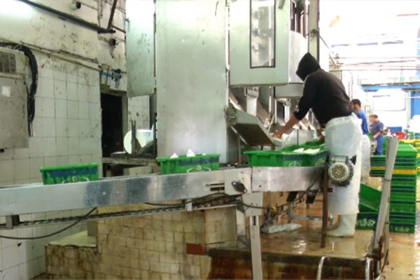 العاصمة: تسويق”الحليب المعولب”ابتداءً من مارس يستفز الجزائريين