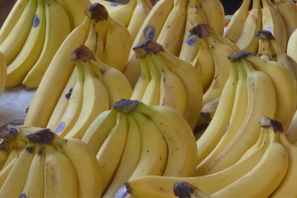 تبسة: فاكهة الموز تضاف لقائمة المواد المحبذ تهريبها شرق الوطن