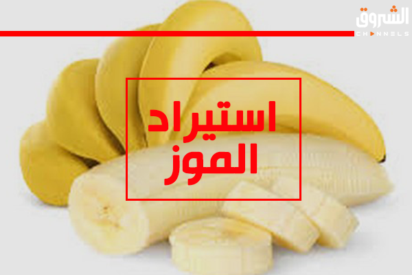 تبون: استيراد 90 ألف طن من الموز