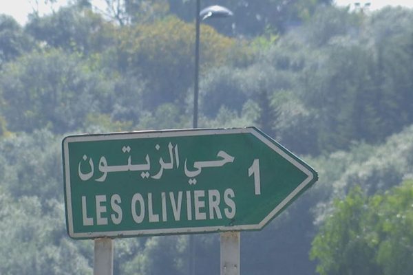 أحياء المدن الكبرى بالجزائر تحمل أسماء الخضر والفواكه