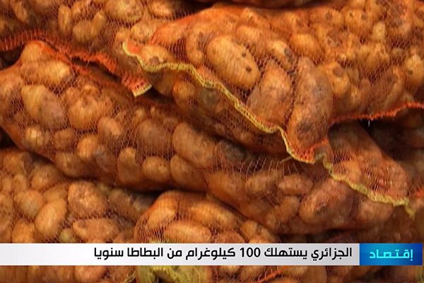 الجزائري يستهلك 100 كيلوغرام من البطاطا سنويا