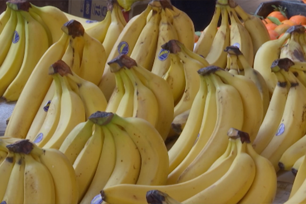 وزارة التجارة ترفض 38طلب لاستيراد الموز