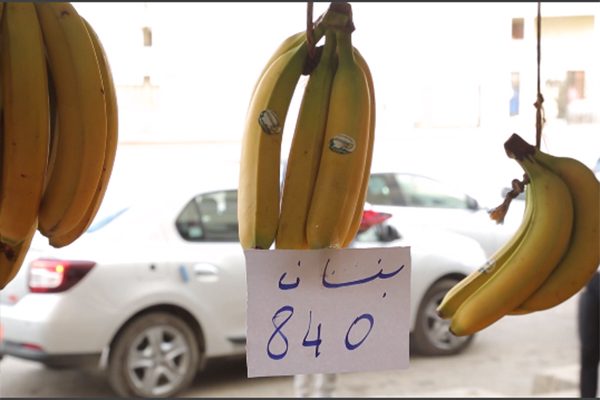 “فريقو-ميديت” تحضر آليات لضبط سوق الموز وتعد بأسعار لا تتعدى 220 دينار
