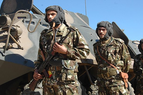 الجيش يوقف 5 عناصر دعم للجماعات الإرهابية بسكيكدة