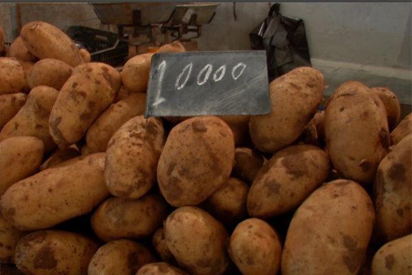 طوارئ في وزارة الفلاحة .. و  شلغوم  يقر 3  إجراءات استعجاليه  لكسر أسعار البطاطا