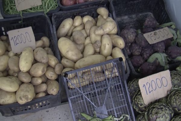 البطاطا ب 120 دج للكيلوغرام لأول مرة في تاريخ الأسواق بقالمة