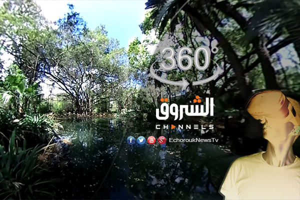 الشروق 360: سحر مكان تصوير لقطات الفيلم الأسطوري “طرزان”