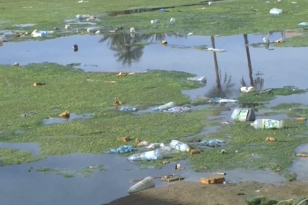 بشار: انطلاق حملة تنظيف الوادي خوفا من انتشار الأمراض المعدية