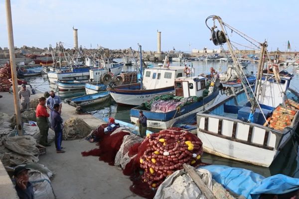 تيبازة: الصيادون ينددون بالوضعية الكارثية لميناء خميستي