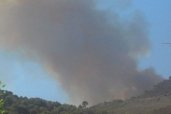 تيزي وزو: النيران تلتهم أكثر من 80 هكتار في مناطق متفرقة من الولاية