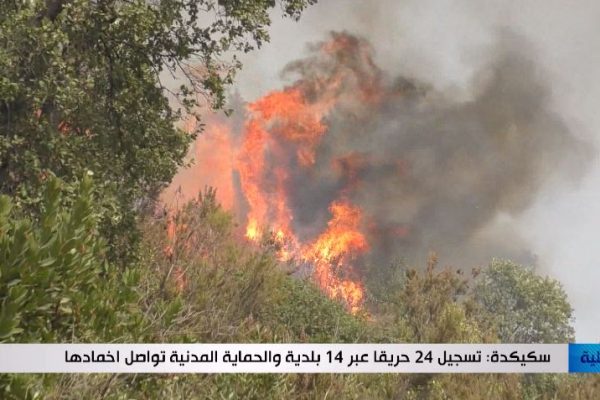 سكيكدة: تسجيل 24 حريقا عبر 14 بلدية والحماية المدنية تواصل اخمادها