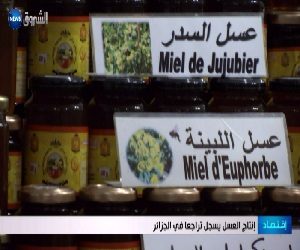 إنتاج العسل يسجل تراجعا في الجزائر