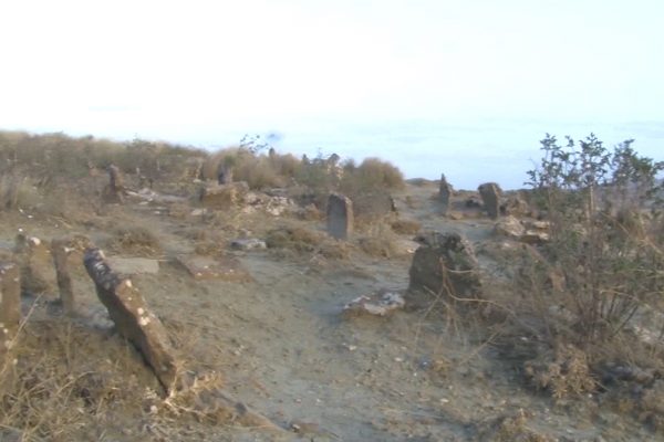 المدية: مقبرة الطول ببلدية تافروات تعاني الإهمال أمام أعين السلطات