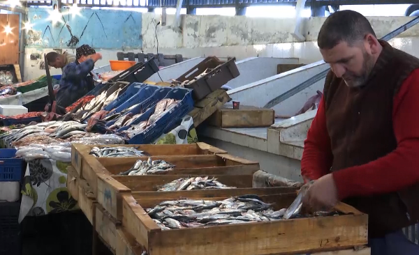 لجنة الصيد البحري الصيد العشوائي يهدد السردين وأرقام الوزارة عن وفرة الإنتاج غير صحيحة