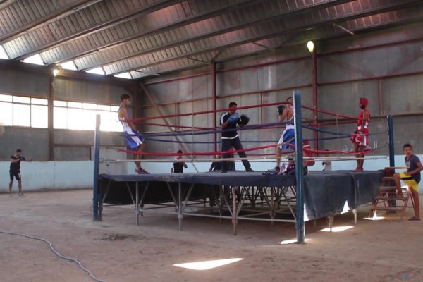 وهران: شباب في الرياضات القتالية بأرزيو يتدرب في قاعة كارثية