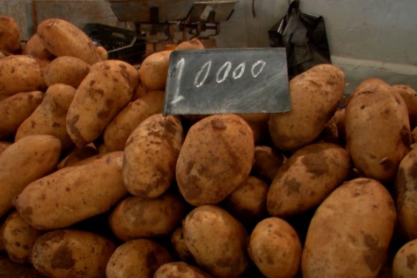 رغم كل الإجراءات… البطاطا تهزم الحكومة