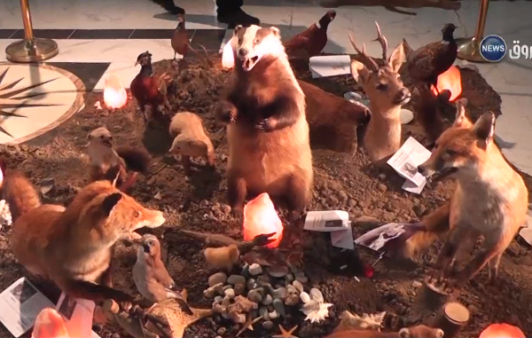 المسيلة: تحف فنية نادرة وحيوانات محنطة في معرض استنائي للفنان عيسى بوعزيز