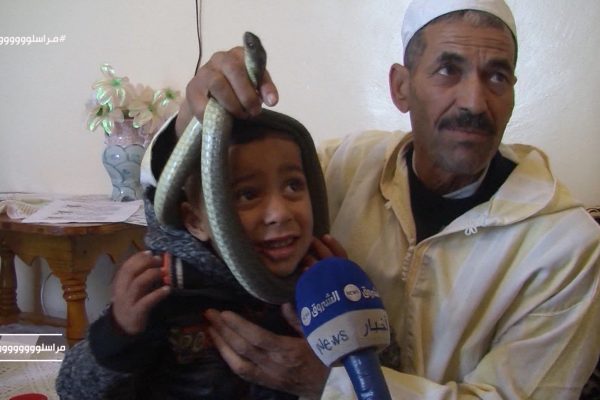 العلاج بالأفاعي.. بولحناش آخر يعيش في الشرق الجزائري