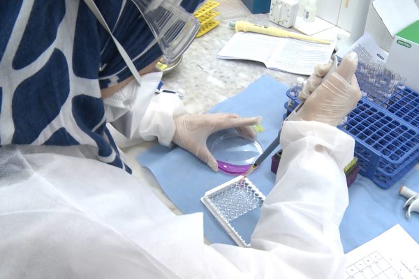 350 مرض نادر في الجزائر.. أخصائيون يدقون صافرة الإنذار