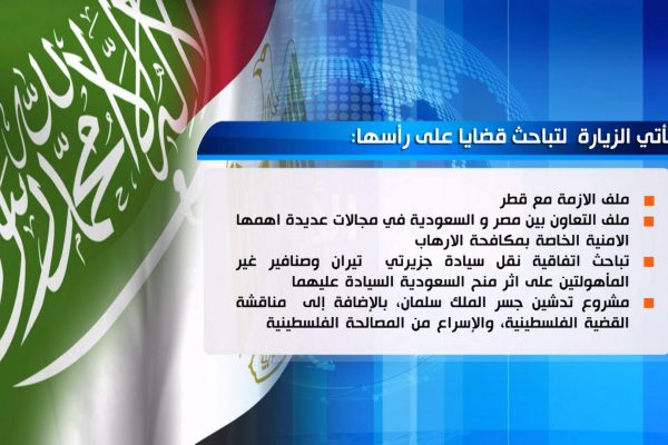 مصر والسعودية تتباحثان قضايا مشتركة وتوقعان على عدة اتفاقيات