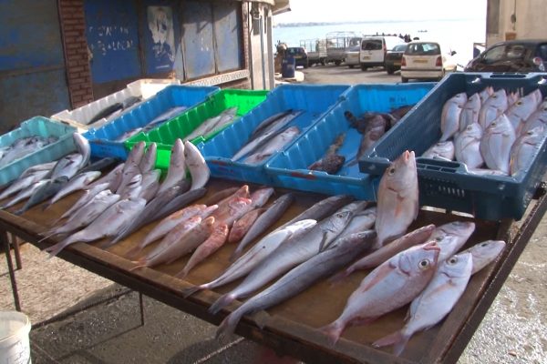 توقعات بانخفاض أسعار الأسماك في شهر رمضان بسبب كثرة العرض