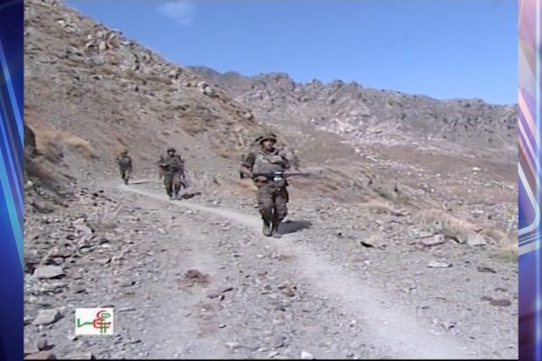 معهد “كارنيغي” الأمريكي الجيش الجزائري سطر نهاية تنظيم القاعدة