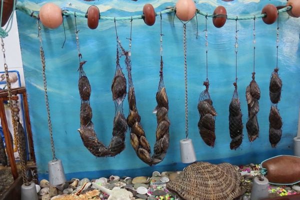 تيبازة: إقبال كبير على تخصصات الصيد البحري تحسبا لمشروع ميناء شرشال