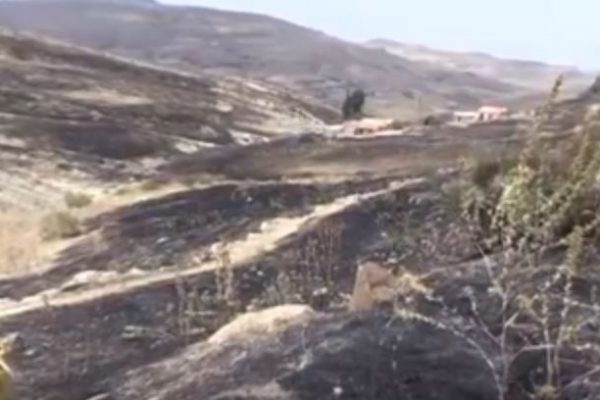 برج بوعريريج: فلاحو قرية العوينات يطالبون بالتعويض عن الحرائق