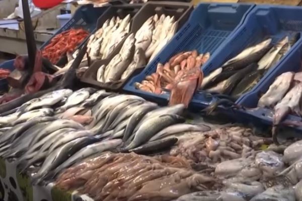إحذروا.. أسماك ملوّثة بالبنزين في الأسواق الجزائرية