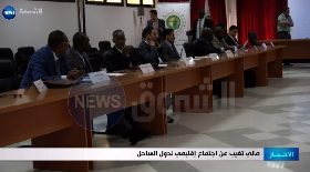 مالي تغيب عن إجتماع إقليمي لدول الساحل
