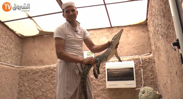 عبد السلام… صديق الحيوانات في قلب الصحراء