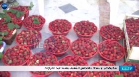 سكيكدة / الإنسداد بالمجلس الشعبي يفسد عيد الفرولة