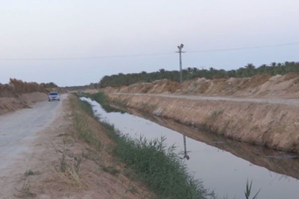 تقرت: مشكل انسداد قناة وادي ريغ يكبد السكان والفلاحين عدة خسائر