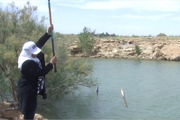 بشار: تنظيم مسابقة في الصيد والطهي أبطالها نساء