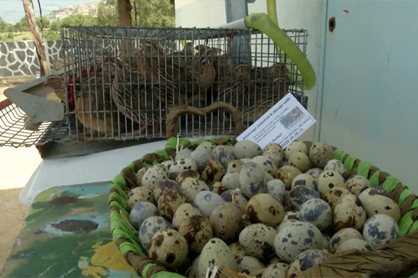 Une exposition de produits agricoles ouvre ses portes à Bejaia