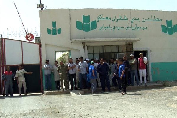 معسكر: عمال مطاحن الرياض يطالبون برحيل مدير المؤسسة