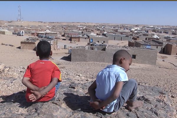 ألمانيا تقدم مساعدة إنسانسة بمليون يورو لفائدة الصحراويين