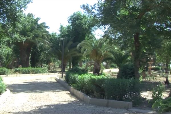 سيدي بلعباس: حديقة المدينة تتحرر من المنحرفين وتفتح أبوابها للعائلات