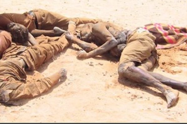 العثور على جثث 34 مهاجرا قرب الحدود الجزائرية النيجيرية