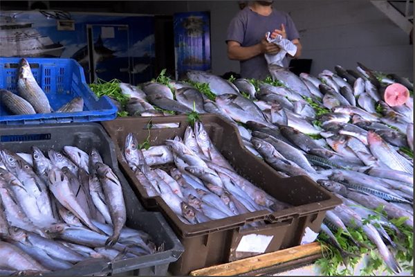 “حمّى” ارتفاع الأسعار تنتقل للأسماك بأنواعها