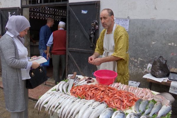 اللجنة الوطنية للصيد تتهم بارونات بالتحكم في أسعار السمك