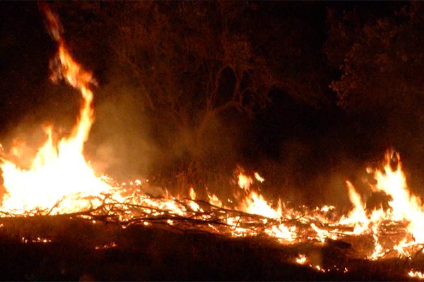 بومرداس: موجة حرائق تلتهم عشرات الهكتارات من الغابات