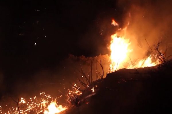 بجاية: الحرائق تلتهم غابة “يما قوراية” والحماية المدنية تشكل خلية أزمة