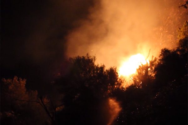 Bejaia : le Parc national de Gouraya sous les flammes