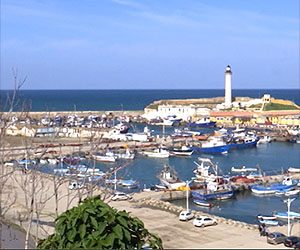 تيبازة: ميناء شرشال خارج اهتمامات السلطات