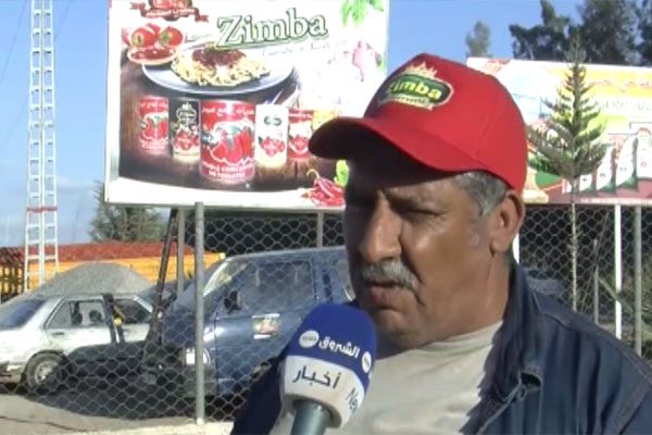 الشعب يريد: قالمة..منتجو الطماطم مطالب بالدعم و الإهتمام