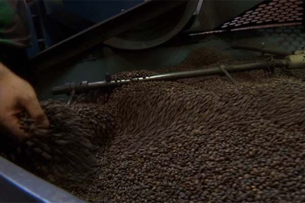 منتجو القهوة يتكتلون في جمعية وطنية من أجل تخفيض الرسوم والضرائب